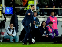 Raffaele Palladino head coach of ACF Fiorentina during the Serie A Enilive match between ACF Fiorentina and AC Milan at Stadio Artemio Franc...