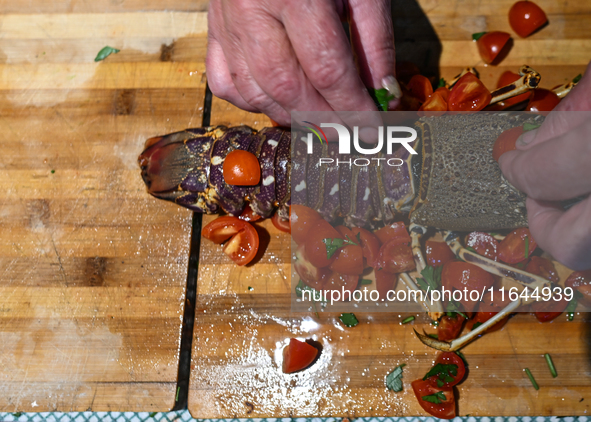 TIRANA, ALBANIA - SEPTEMBER 16:   
A woman prepares a lobster in a local seafood restaurant, seen on September 16, 2024, in Tirana, Albania....