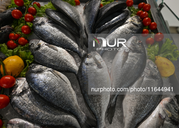 TIRANA, ALBANIA - SEPTEMBER 16:   
Fresh Sea Bream on display in a local seafood restaurant, seen on September 16, 2024, in Tirana, Albania....