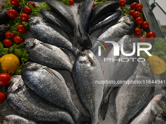 TIRANA, ALBANIA - SEPTEMBER 16:   
Fresh Sea Bream on display in a local seafood restaurant, seen on September 16, 2024, in Tirana, Albania....