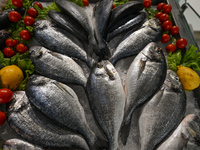 TIRANA, ALBANIA - SEPTEMBER 16:   
Fresh Sea Bream on display in a local seafood restaurant, seen on September 16, 2024, in Tirana, Albania....