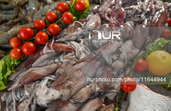 TIRANA, ALBANIA - SEPTEMBER 16:   
Fresh squid on display in a local seafood restaurant, seen on September 16, 2024, in Tirana, Albania. 