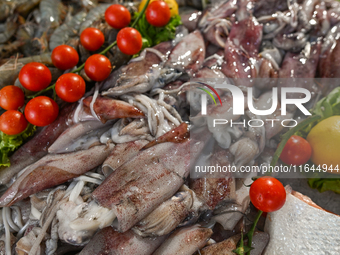 TIRANA, ALBANIA - SEPTEMBER 16:   
Fresh squid on display in a local seafood restaurant, seen on September 16, 2024, in Tirana, Albania. (