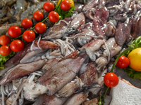 TIRANA, ALBANIA - SEPTEMBER 16:   
Fresh squid on display in a local seafood restaurant, seen on September 16, 2024, in Tirana, Albania. (