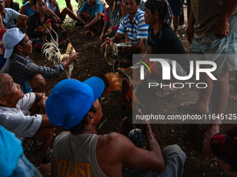 The 'Fighting Rooster' hidden arena is located on the slopes of Agung volcano in Bali, Indonesia. The event takes place in Bali, Indonesia,...