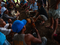 The 'Fighting Rooster' hidden arena is located on the slopes of Agung volcano in Bali, Indonesia. The event takes place in Bali, Indonesia,...