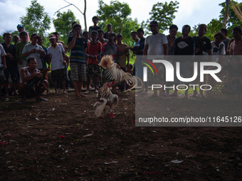 The 'Fighting Rooster' hidden arena is located on the slopes of Agung volcano in Bali, Indonesia. The event takes place in Bali, Indonesia,...