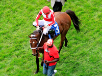 Jockey Sahin Civaci rides Bowman's Run to the winner's circle with trainer Kevin Attard following after the second race at Woodbine Racetrac...