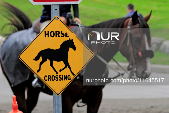 A sign is shown at Woodbine Racetrack in Toronto, Canada, on October 6, 2024. 