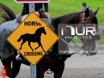 A sign is shown at Woodbine Racetrack in Toronto, Canada, on October 6, 2024. (