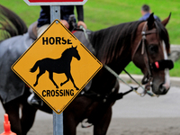 A sign is shown at Woodbine Racetrack in Toronto, Canada, on October 6, 2024. (