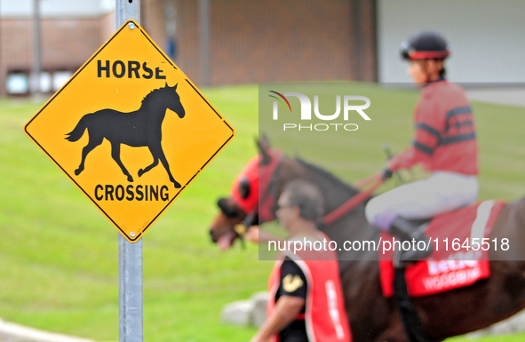 A sign shows as a racehorse and jockey are led to the track at Woodbine Racetrack in Toronto, Canada, on October 6, 2024. 