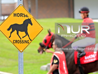 A sign shows as a racehorse and jockey are led to the track at Woodbine Racetrack in Toronto, Canada, on October 6, 2024. (