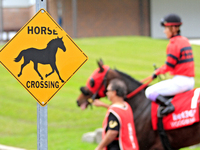 A sign shows as a racehorse and jockey are led to the track at Woodbine Racetrack in Toronto, Canada, on October 6, 2024. (