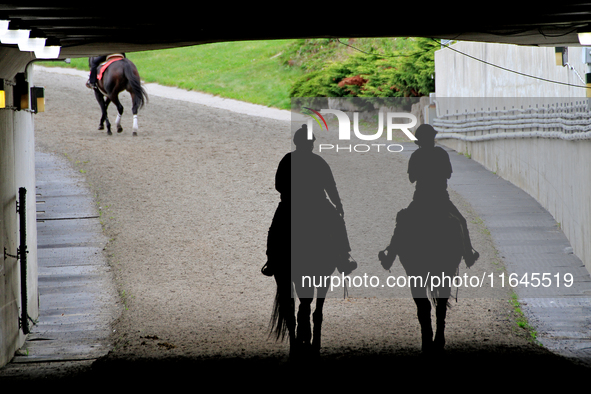 A pair of outriders is silhouetted as they ride to the track ahead of a race at Woodbine Racetrack in Toronto, Canada, on October 6, 2024. 