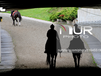 A pair of outriders is silhouetted as they ride to the track ahead of a race at Woodbine Racetrack in Toronto, Canada, on October 6, 2024. (