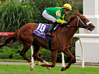 Jockey Austin Adams rides Lady in Red to a win in the fourth race at Woodbine Racetrack in Toronto, Canada, on October 6, 2024. (