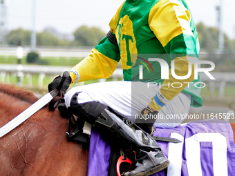 Jockey Austin Adams rides Lady in Red to the winner's circle after a win in the fourth race at Woodbine Racetrack in Toronto, Canada, on Oct...