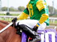 Jockey Austin Adams rides Lady in Red to the winner's circle after a win in the fourth race at Woodbine Racetrack in Toronto, Canada, on Oct...