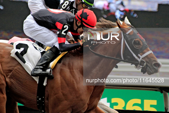 Jockey Eswan Flores rides Shadow Realm to a win in the fifth race at Woodbine Racetrack in Toronto, Canada, on October 6, 2024. 