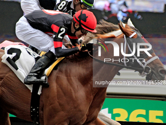 Jockey Eswan Flores rides Shadow Realm to a win in the fifth race at Woodbine Racetrack in Toronto, Canada, on October 6, 2024. (