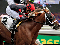 Jockey Eswan Flores rides Shadow Realm to a win in the fifth race at Woodbine Racetrack in Toronto, Canada, on October 6, 2024. (