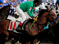 Jockey Carl Defreitas rides Mohaymen Diamond in the sixth race at Woodbine Racetrack in Toronto, Canada, on October 6, 2024. (