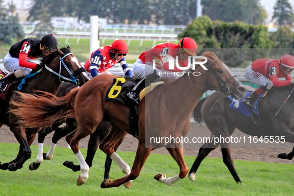 Jockey Sahin Civaci rides McAvoy (6) to a win in the seventh race at Woodbine Racetrack in Toronto, Canada, on October 6, 2024. 