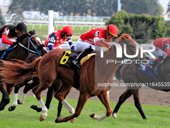 Jockey Sahin Civaci rides McAvoy (6) to a win in the seventh race at Woodbine Racetrack in Toronto, Canada, on October 6, 2024. (