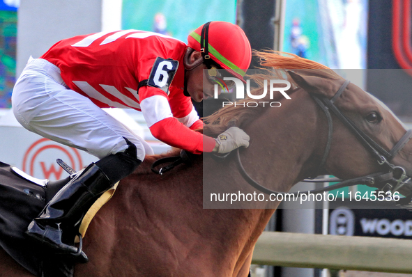 Jockey Sahin Civaci rides McAvoy to a win in the seventh race at Woodbine Racetrack in Toronto, Canada, on October 6, 2024. 