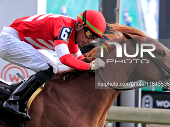 Jockey Sahin Civaci rides McAvoy to a win in the seventh race at Woodbine Racetrack in Toronto, Canada, on October 6, 2024. (