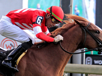 Jockey Sahin Civaci rides McAvoy to a win in the seventh race at Woodbine Racetrack in Toronto, Canada, on October 6, 2024. (