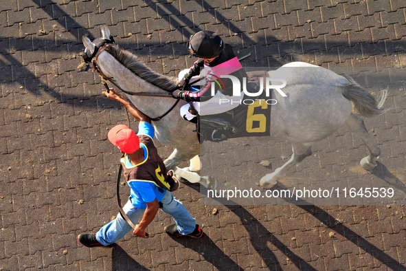 Jockey Sofia Vives rides Exude to the track ahead of the eighth race at Woodbine Racetrack in Toronto, Canada, on October 6, 2024. 