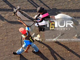 Jockey Sofia Vives rides Exude to the track ahead of the eighth race at Woodbine Racetrack in Toronto, Canada, on October 6, 2024. (