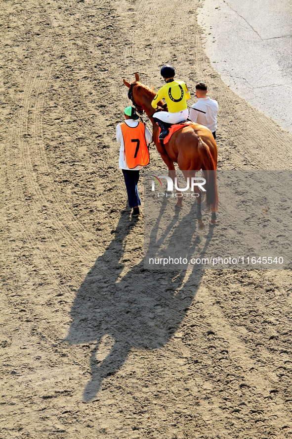 Jockey Emma-Jayne Wilson rides Wyoming Bill to the track ahead of the eighth race at Woodbine Racetrack in Toronto, Canada, on October 6, 20...