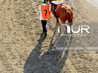 Jockey Emma-Jayne Wilson rides Wyoming Bill to the track ahead of the eighth race at Woodbine Racetrack in Toronto, Canada, on October 6, 20...