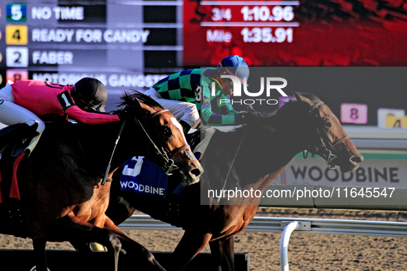 Jockey Patrick Husbands (3) rides Scorching to a win in the 87th running of the $250,000 Cup & Saucer Stakes race at Woodbine Racetrack in T...