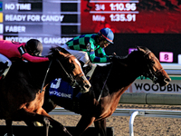 Jockey Patrick Husbands (3) rides Scorching to a win in the 87th running of the $250,000 Cup & Saucer Stakes race at Woodbine Racetrack in T...