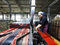 A worker produces pencils at the production workshop of China First Pencil Sihong Co., LTD in Sihong Economic Development Zone in Suqian, Ji...