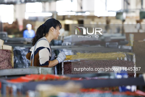 A worker produces pencils at the production workshop of China First Pencil Sihong Co., LTD in Sihong Economic Development Zone in Suqian, Ji...