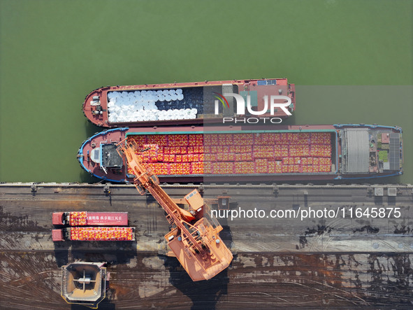 Cranes carry out loading and unloading operations in an orderly manner at the Yaowan Comprehensive Terminal in Nanchang, China, on October 6...