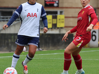 Drew Spence of Tottenham Hotspur Women and Cornelia Kapocs of Liverpool Women are in action during the Barclays FA Women's Super League socc...