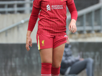 Cornelia Kapocs of Liverpool Women plays during the Barclays FA Women's Super League soccer match between Tottenham Hotspur Women and Liverp...