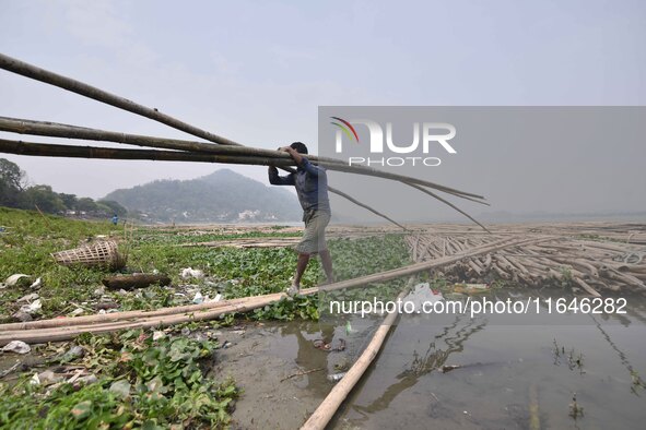 An Indian laborer carries bamboo at a bamboo market on the banks of the Brahmaputra River in Guwahati, India, on April 6, 2018. The Brahmapu...