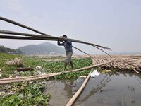 An Indian laborer carries bamboo at a bamboo market on the banks of the Brahmaputra River in Guwahati, India, on April 6, 2018. The Brahmapu...