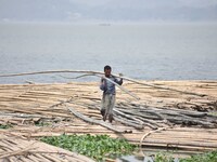 An Indian laborer carries bamboo at a bamboo market on the banks of the Brahmaputra River in Guwahati, India, on April 6, 2018. The Brahmapu...