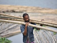 An Indian laborer carries bamboo at a bamboo market on the banks of the Brahmaputra River in Guwahati, India, on April 6, 2018. The Brahmapu...