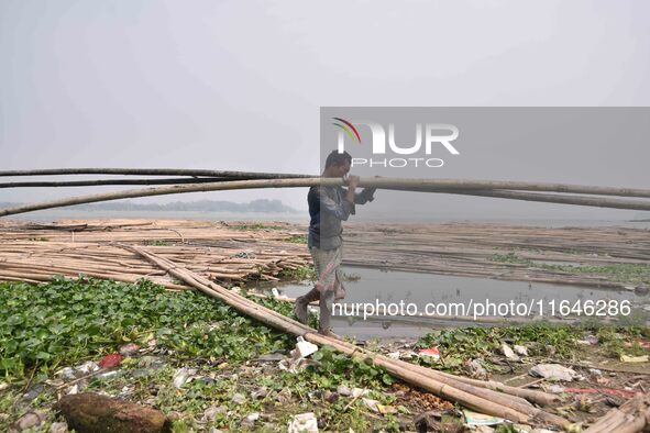 An Indian laborer carries bamboo at a bamboo market on the banks of the Brahmaputra River in Guwahati, India, on April 6, 2018. The Brahmapu...