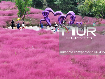 Visitors play in the pink grass at Guishan Park in Zaozhuang, China, on October 6, 2024. (