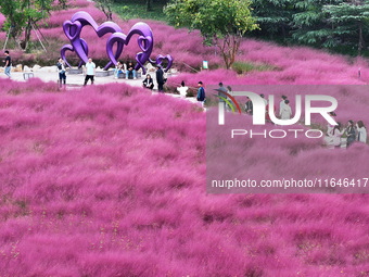 Visitors play in the pink grass at Guishan Park in Zaozhuang, China, on October 6, 2024. (